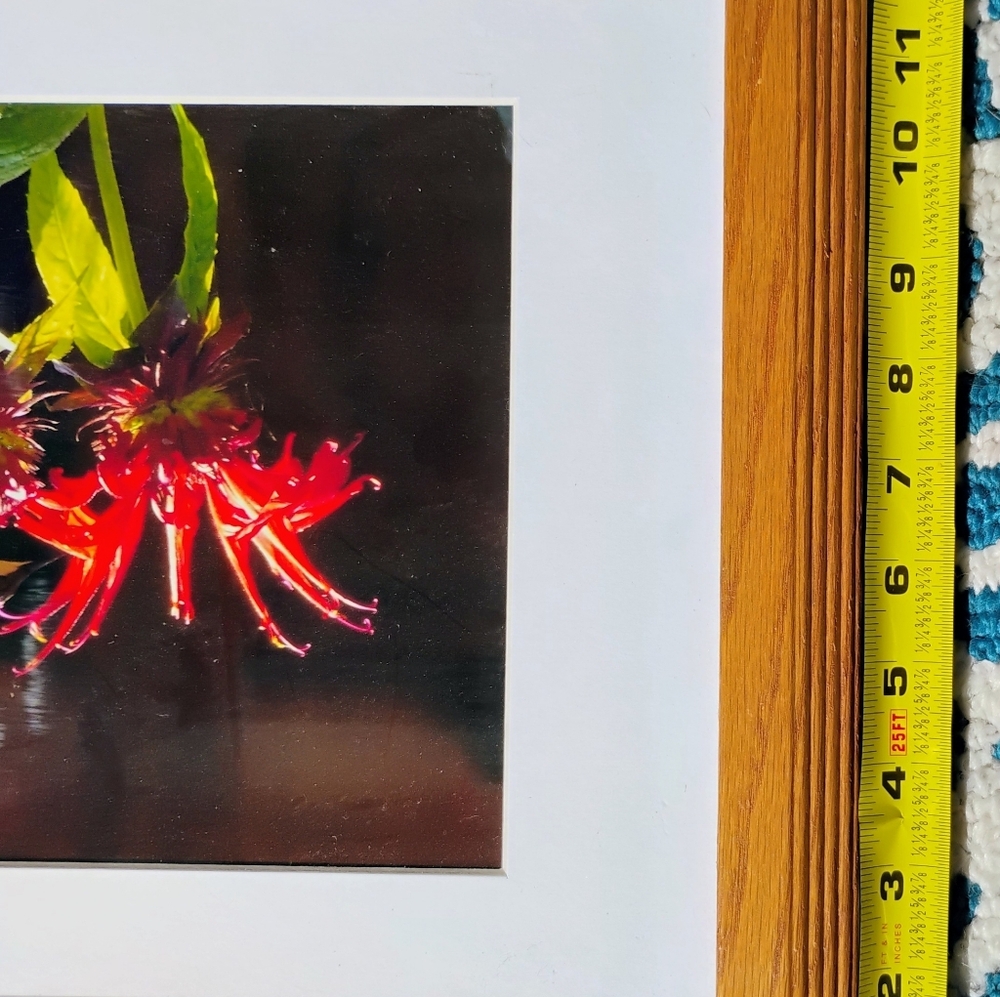 Floral Art Framed Print - Picture 5 of 6
